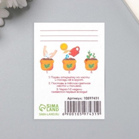A postcard with the seeds "grow itself" "Fairytale New Year" Gnome 5*7cm-2