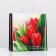 Package "wonderful tulips", soft plastic, 30 x 30 cm 120 μm