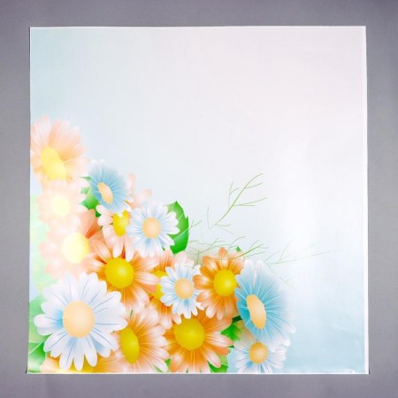 Stick plastic interior color "Chamomile" 58x60 cm-1