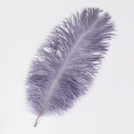 Feather for decor, size: 24 cm, gray color-2