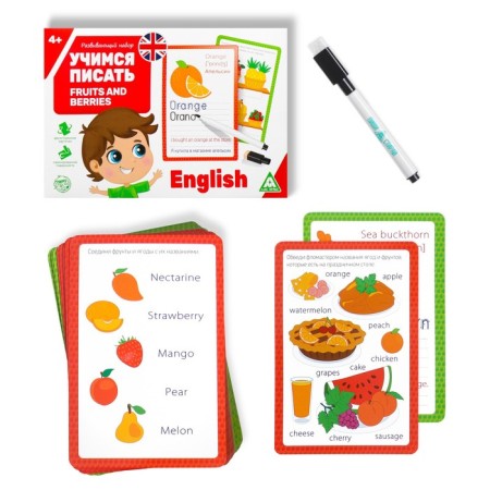 Developing set of writing-stand “Learning to write. Fruits and Berries ", 15 cards-1