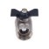 Ballic Aqualink, PN 50, internal/outer thread 3/4, "butterfly, nickel.