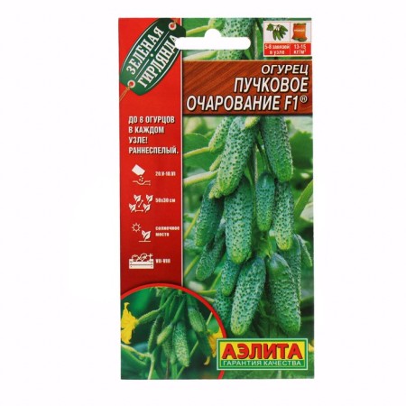 Seeds of cucumber "bundle charm", f1, c/n, 10 pcs