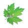 Decoration on the adhesive tape "Maple leaf" Green, 18x18 cm