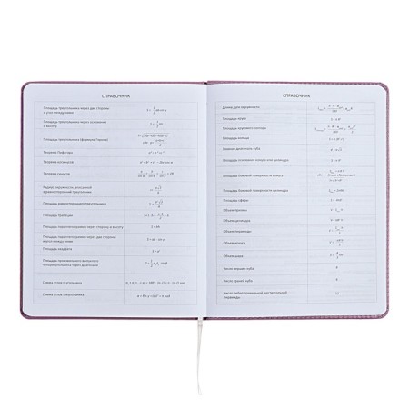 Universal diary for grade 1-11 Mentality, hard cover, artificial leather, foam rubber, lies, 80 g/m2-8