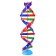 Set for experiments "DNA molecule", in the package