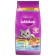 Dry food Whiskas for sterilized cats, chicken, 5 kg