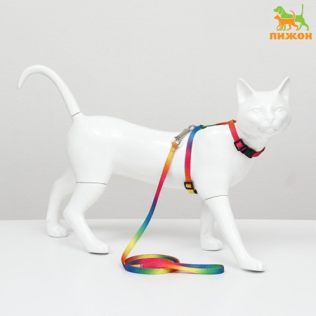A set for cats "Rainbow", width 1 cm, Osh 16.5-27, OG 21-35 cm, leash 120 cm