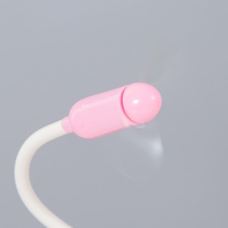 TECAL LAML "DONTRA" LED 4W USB AKB Pink 10x11.5x40.5 cm Risalux-9