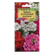 Verben Flowers Hybrid 