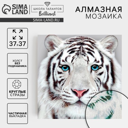 Diamond mosaic with a partial filling on the hill "White Tiger", 37 x 37 cm