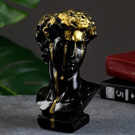 Kashpo - organizer "Bust of David" black, 17x9x10cm