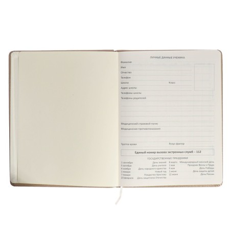 Universal Diary 1-11 grade Crown Butterfly, firm covering with foam, artificial leather, liesse, block 80 g/m2-3