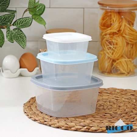 A set of food containers Ricco, 3 pcs: 230 ml, 500 ml, 900 ml, square, assorted color