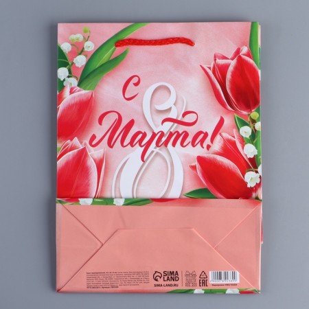 Package Gift Laminated Horizontal, Packaging, Spring Paints, MS 18 x 23 x 8 cm-4