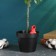 Puppy irrigator for indoor and garden plants Kungur ceramics, 30ml, 8.5cm, mix