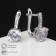 Earrings with the rhinestones "Bloom" classic, mini circle, white color in silver