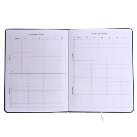 Universal diary for grade 1-11, solid cover, artificial leather, blue cover, lies, 80 g/m2-4