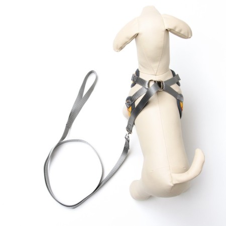 A set of ammunition with a soft harness, s, leash 120 x 1 cm, Osh 20-40 cm, og 30-44 cm, yellow-2