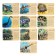 Developing set of dinosaur figures for children "Ancient World", animals, cards, according to the Montessori methodology