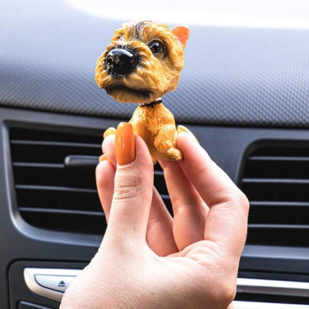 Dog on a car panel shocking his head, Irish Terrier-2