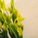Set of artificial plants for aquarium (2 pcs), 24 cm