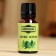 Essential oil "Tea tree", a bottle-boiler, 17 ml "Dobroparov"