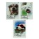 Notepad A5, 40 sheets on the puppy paperwork, laminated cardboard cover, mix
