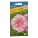 Cosmos "Click Bikolor" Pink, O, 7 pcs