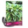 Host Hybrid Bobquat, I Rr., 1 pc. 40*80 h (cm), autumn 2024