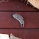 Knierambit "Dragon" 14.5cm, blade 65mm/2mm, silver
