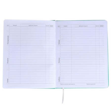 Universal diary for grade 1-11 Kitties, hard cover, artificial leather, silk-screen printing, Lyasse, 80 g/m2-6