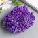 Stamens for flowers "droplets bubble purple" 4x7 mm set 700 pcs length 6.5 cm