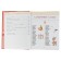 Large illustrated guide for the student