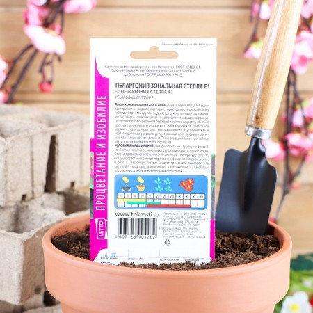 Flower seeds Pelargonium "Stella", pink with a brown sheet, F1, 4 pcs-1