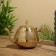 Teapot 25x12x18 cm, brass
