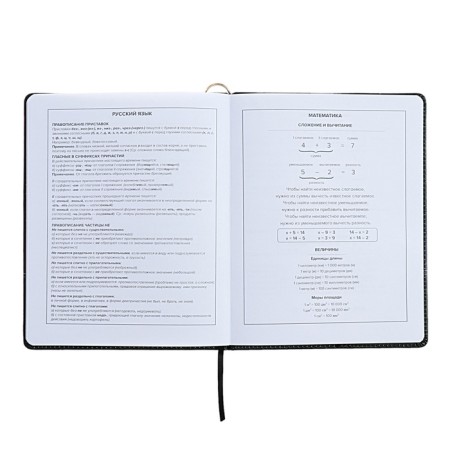 Universal Diary Grade 1-11, 48 sheets "Princess-ballerina", solid cover of artificial leather, lies, universal cheat sheet, block 80 g/m2-13