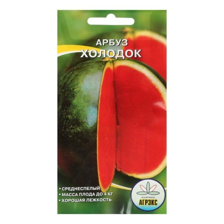 Seeds watermelon chill 10 pcs