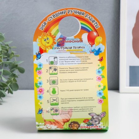Growing gift grass "Hedgehog"-8