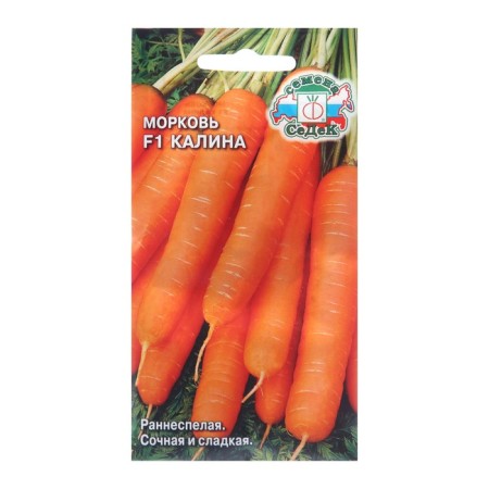 Carrots "Kalina F1", 2 g