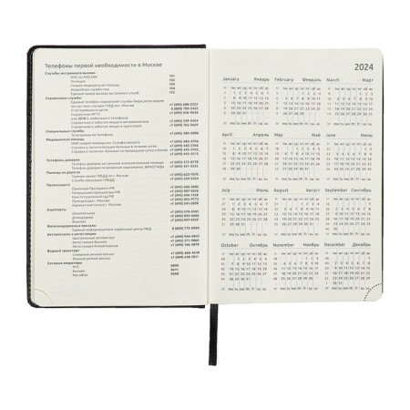 Dated diary 2024 A5 176 sheets, Devente.wild, Firmly covered with artificial leather, gold cut, lies, cream block 70 g/m2, black-8
