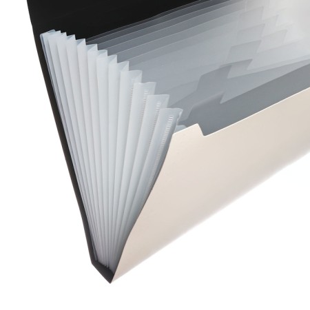 Folder file Calligrata Top Deluxe 13 Department. A4 plastic 1.0mm milk. Cut in color-2