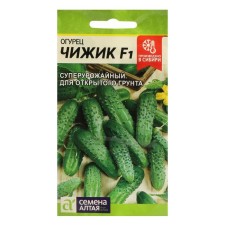 Cucumber seeds 