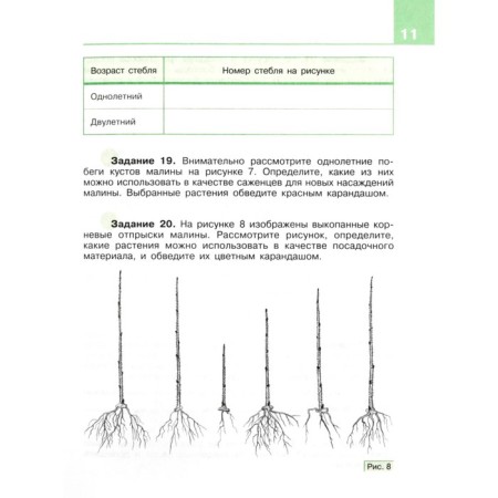 Technology. 8th grade. Agricultural work. Workbook (for students of intellectual disorders). 3rd edition. Federal State Educational Standard. Kovaleva E.A.-2