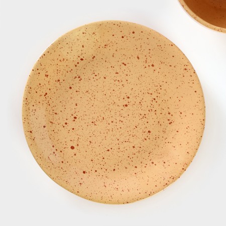 Tea couple ceramic "Karakum", 2 items: a cup 250 ml, a saucer d = 15 cm-3