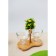 Glass Kremanka "Malva", 310 ml