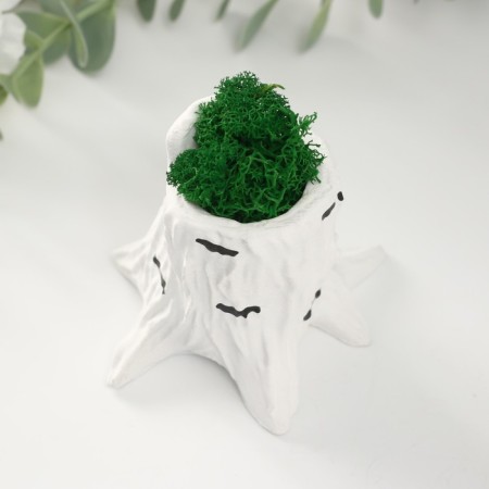 Kashpo concrete "stump birch" 7.5x8.5x7 cm with moss (moss green stabilized)-4
