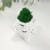 Kashpo concrete "stump birch" 7.5x8.5x7 cm with moss (moss green stabilized)
