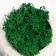Concrete Kashpo "Buddha" with moss 7*6 cm white (moss green stabilized)