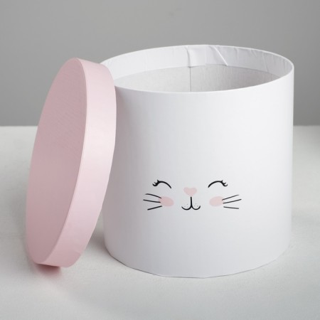 A set of boxes 3 in 1, gift packaging, “cats”, 14 x 14 x 13 - 18 x 18 x 15 cm-4